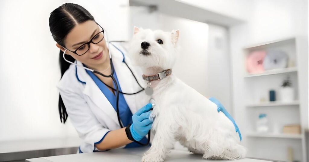 Veterinary Care